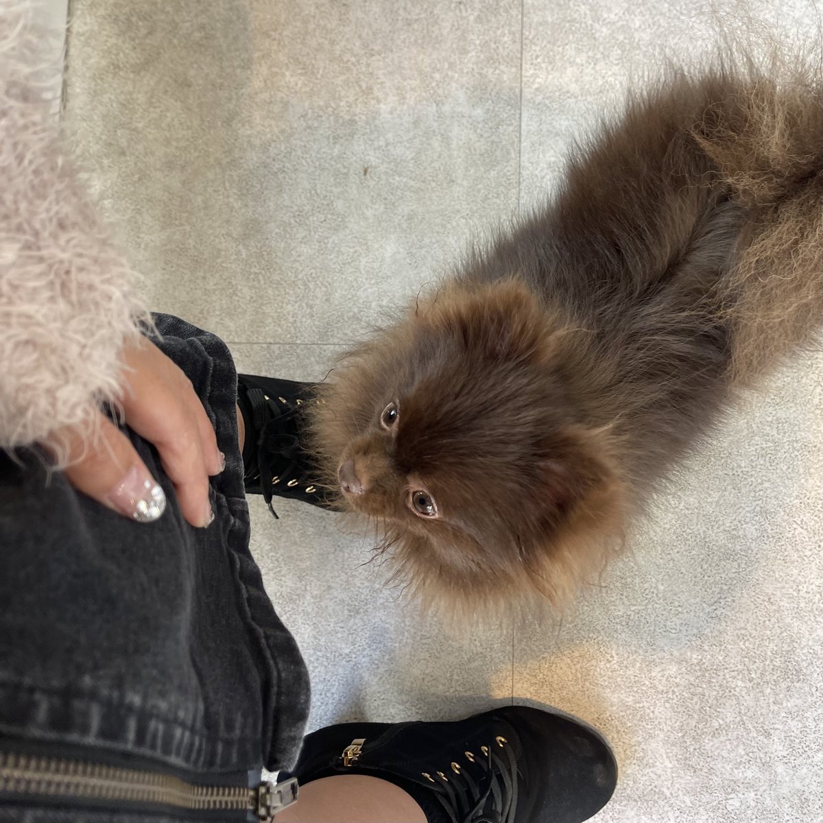 小泉千秋 tweet media