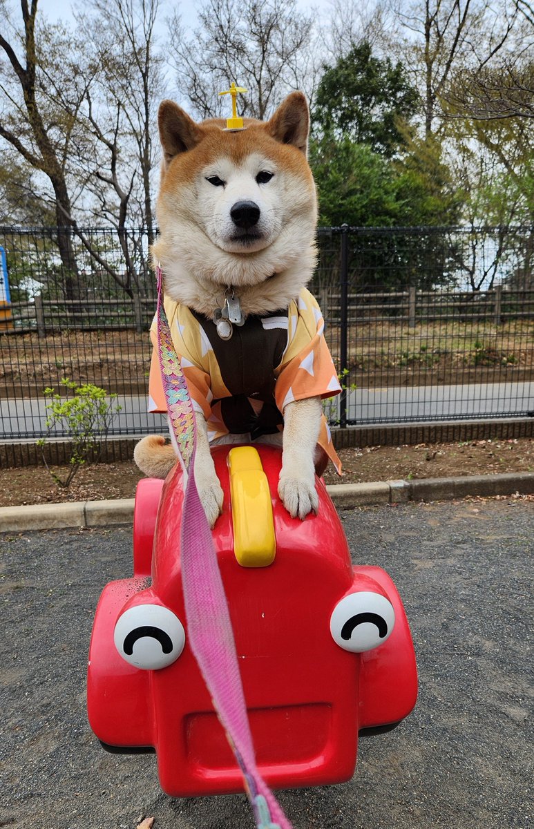 ペコ丸 tweet media