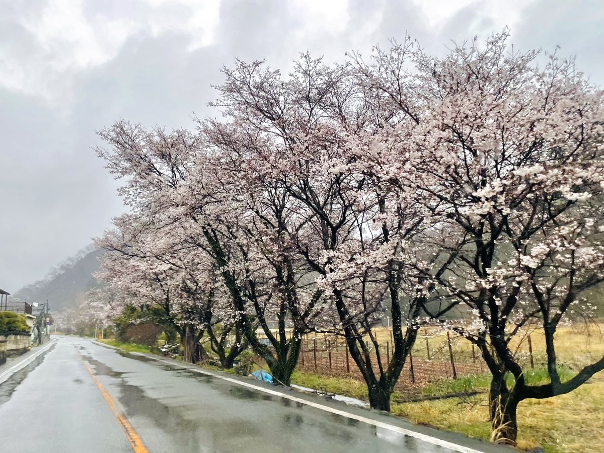 𝟮𝟰𝗼𝗸@ tweet media