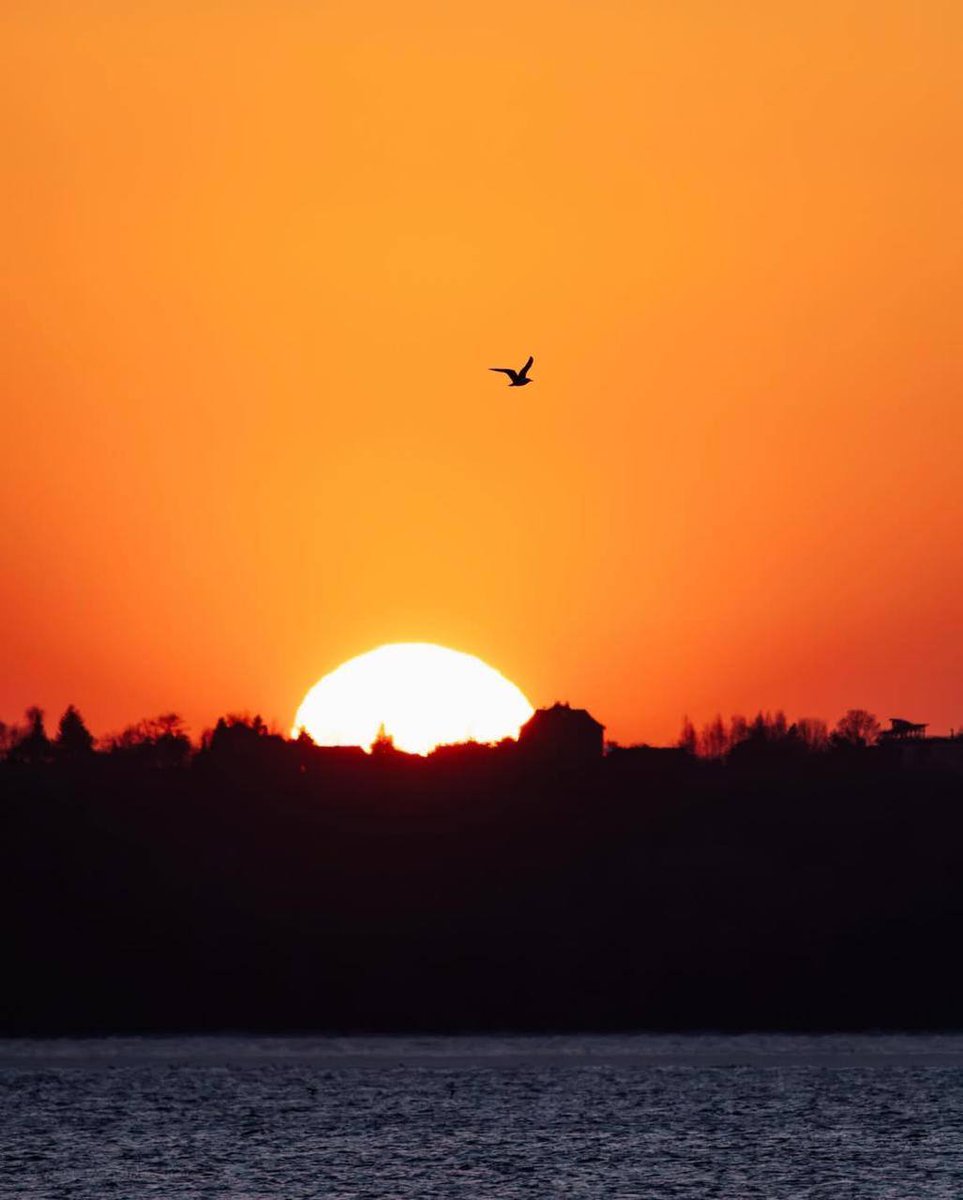 Maksymus 🍌 tweet media