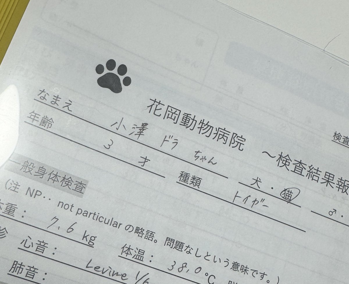 Kenji Ozawa/STUDIO SASANQUA Inc. tweet media