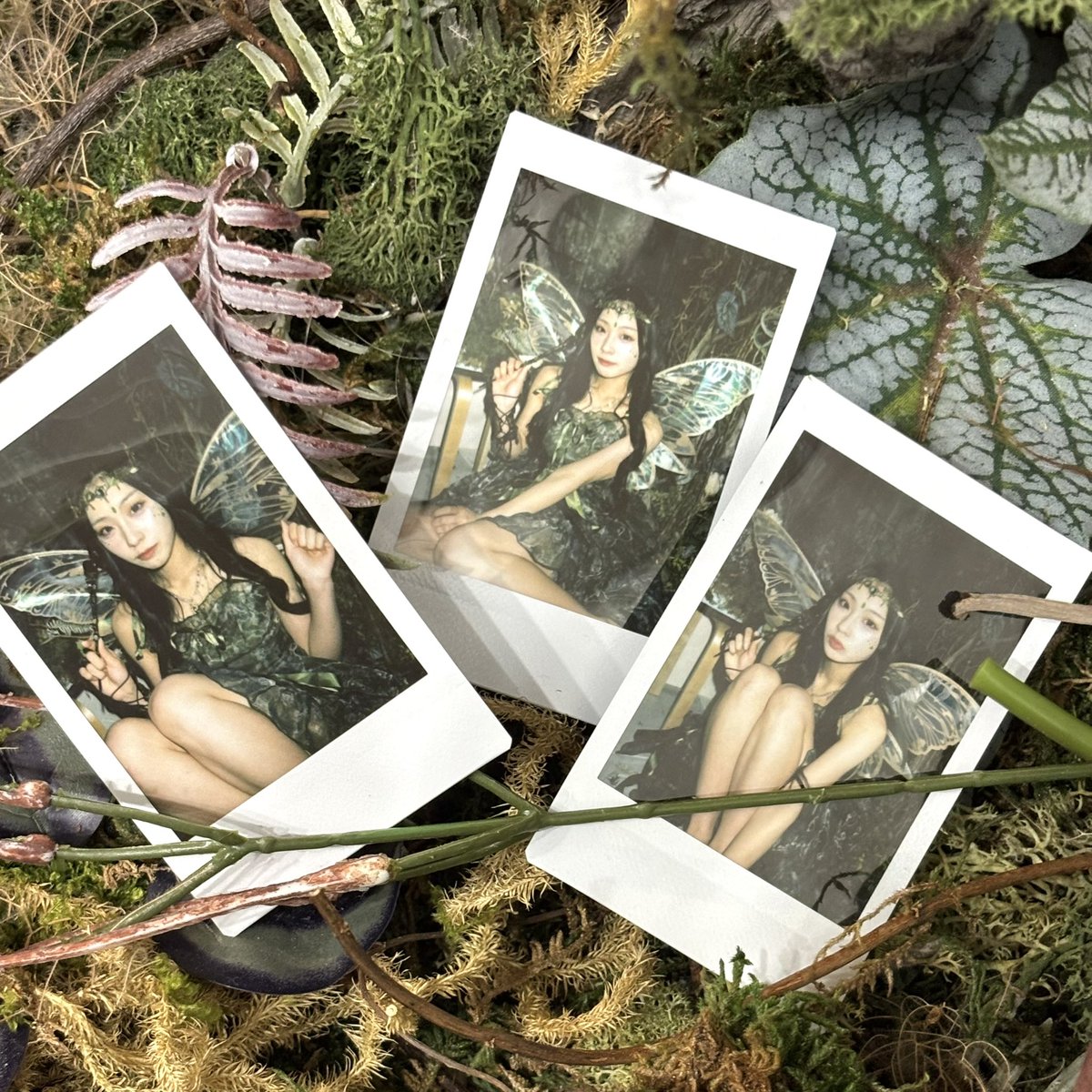 SITUASION ONLINE STORE tweet media