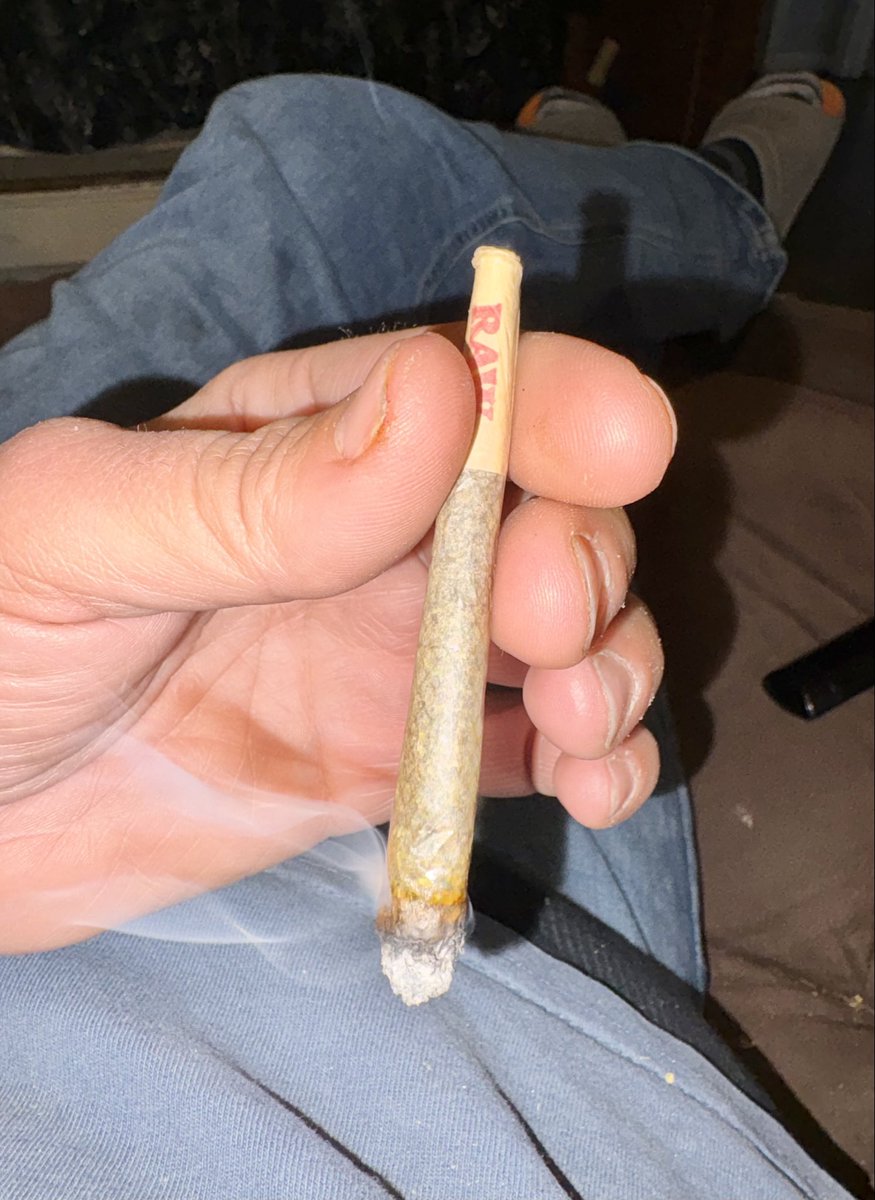 iFlyHigh™ 🎄 tweet media