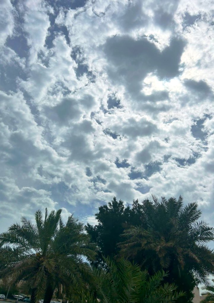 َ|صيلٰ tweet media