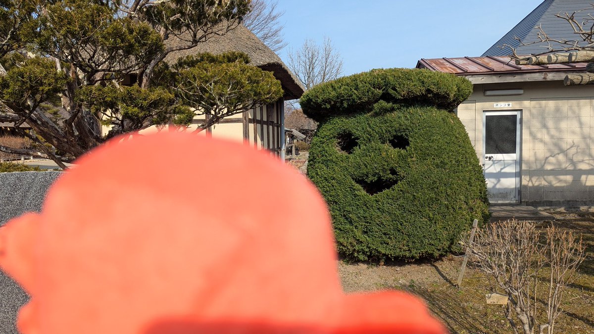 イカイもん【公式】 tweet media