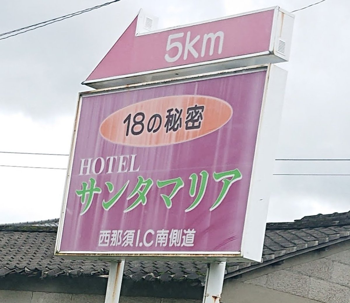 スグル tweet media