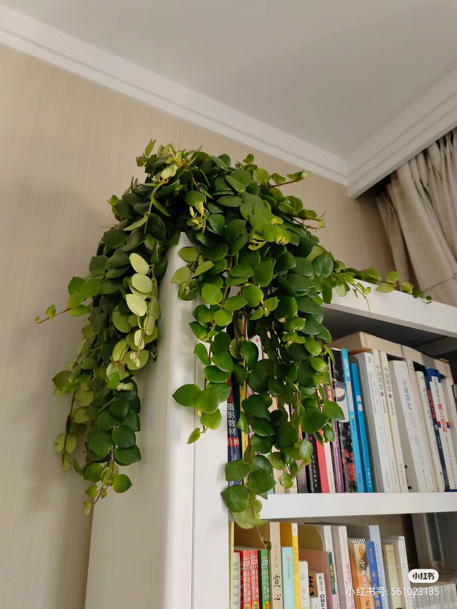 Luis Rodriguez tweet media