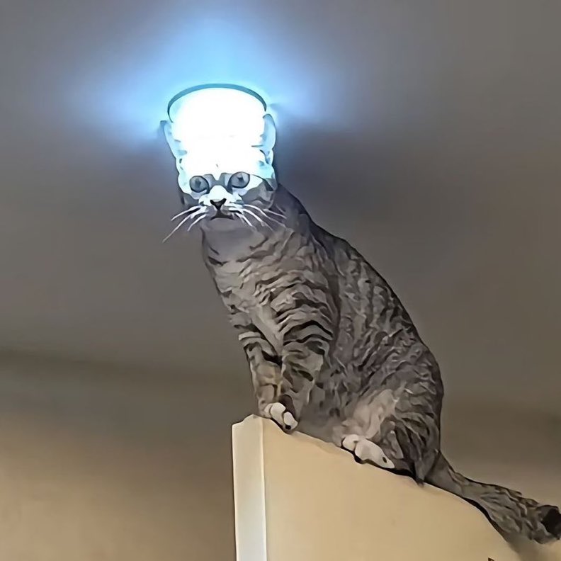 SiR.RaShEd tweet media