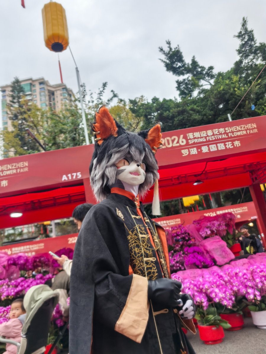 Nicolas_Wilde tweet media