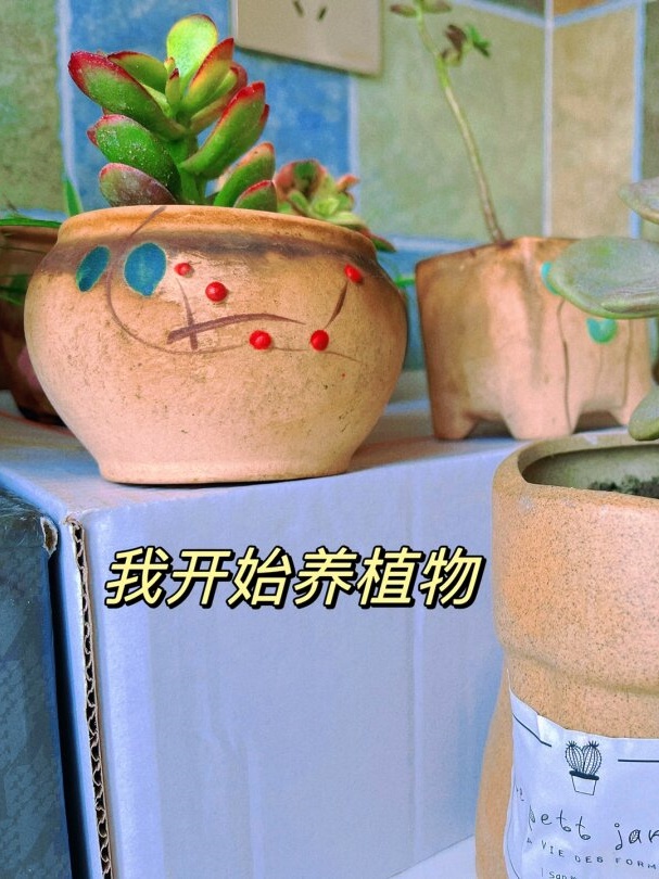 Icha mizard tweet media