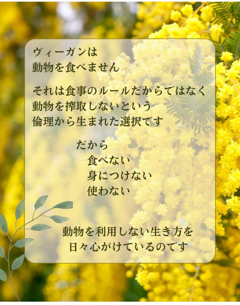 おんワンコ tweet media