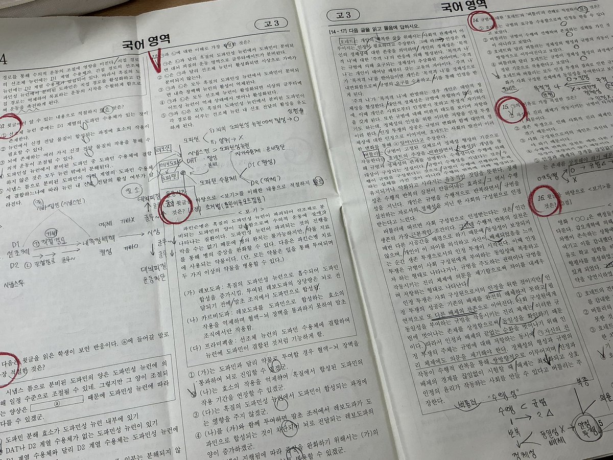 도요새 tweet media