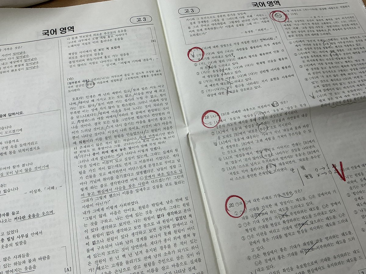 도요새 tweet media