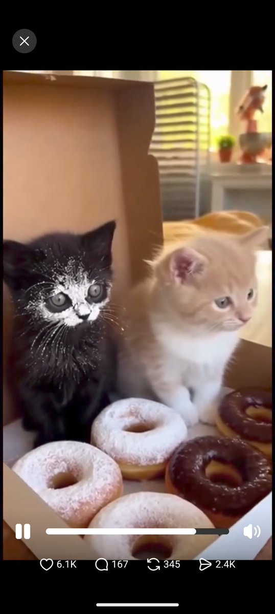 PixelHeartLive tweet media