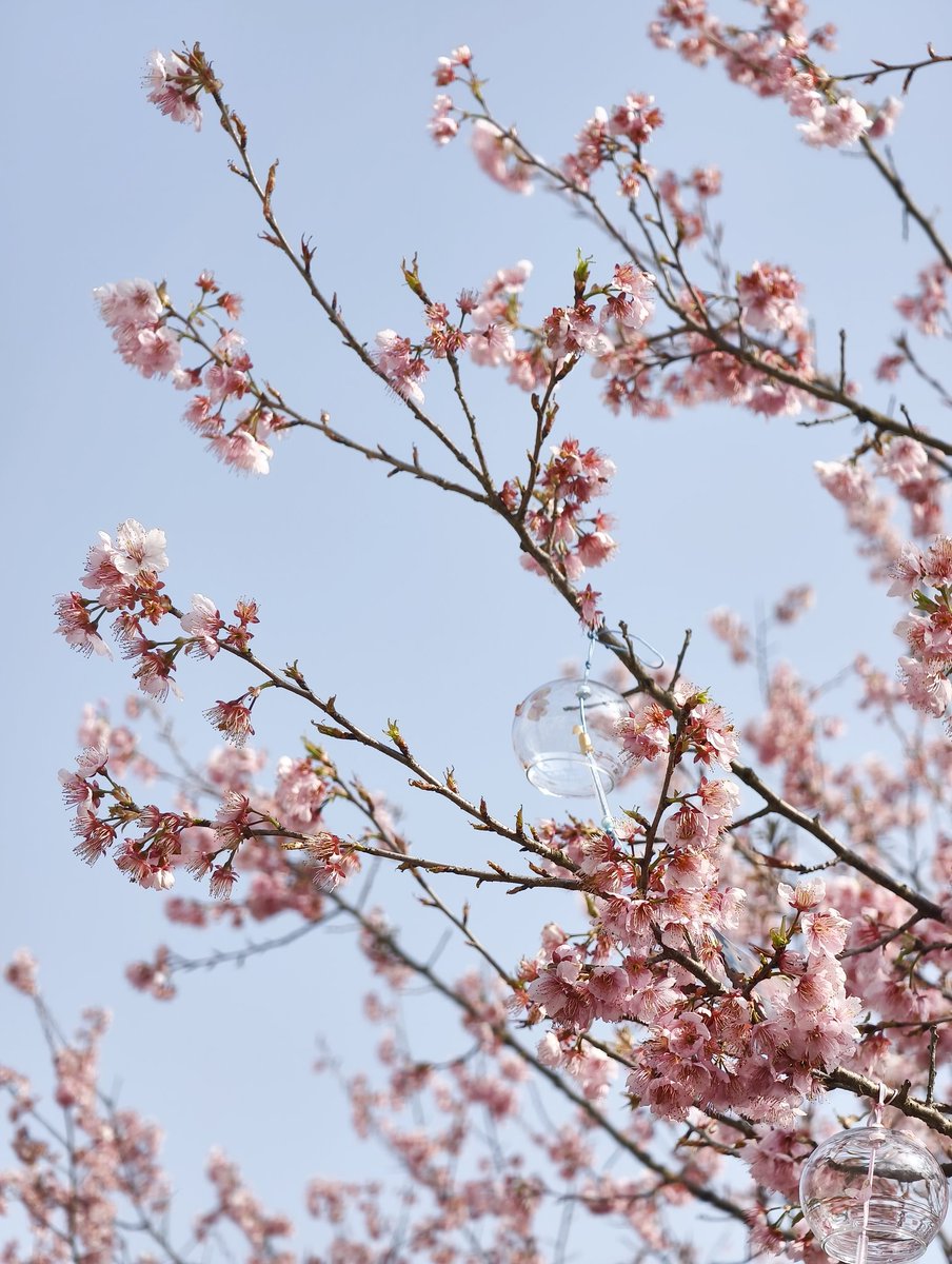 chinn Wan（互fo互赞） tweet media