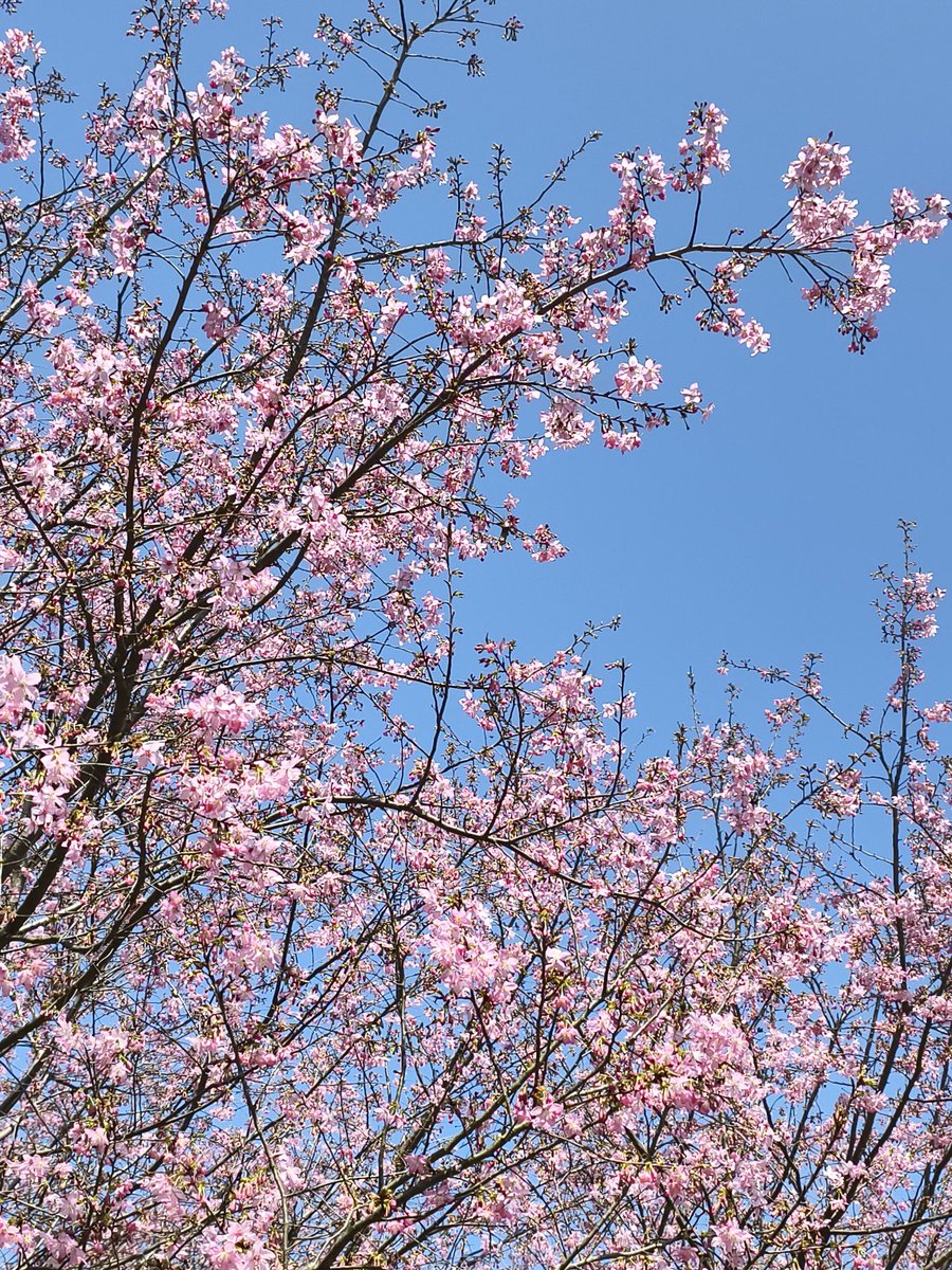 chinn Wan（互fo互赞） tweet media