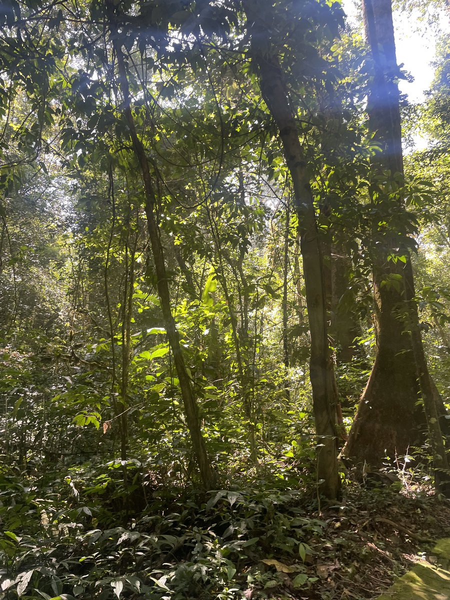 ૮ • ﻌ - ა Khas. • follow limit!!!!! tweet media