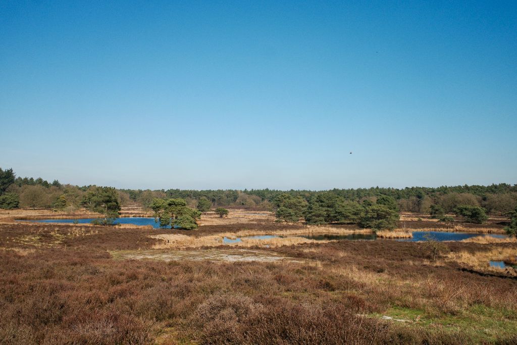 F@bio ✨ tweet media