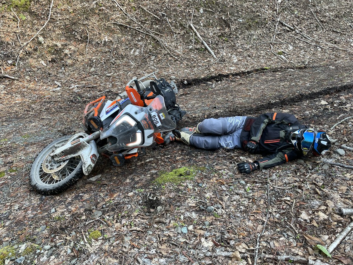 くりす・まーち tweet media