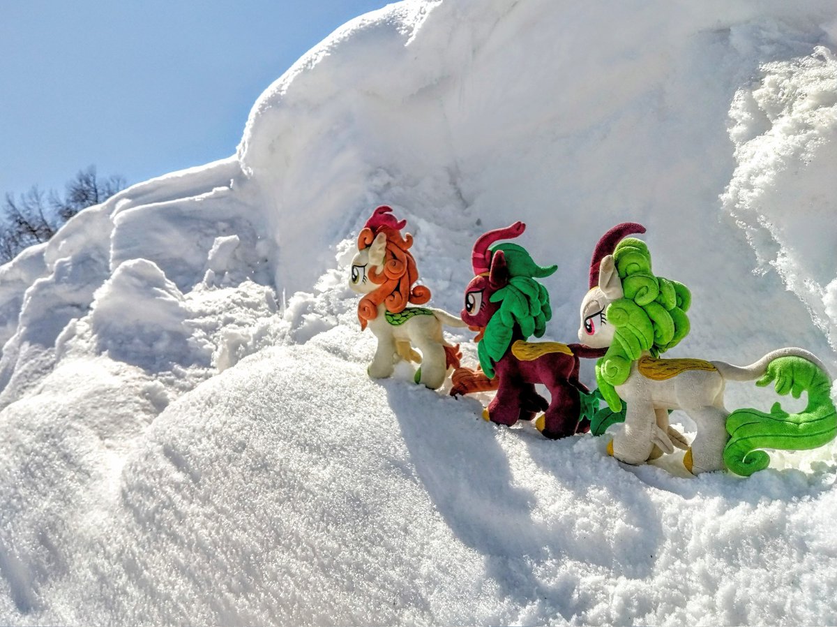 布麒麟 tweet media