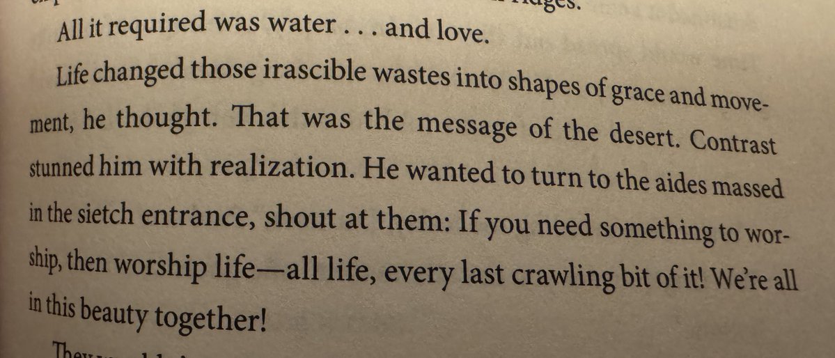 Maddie Rae Gun tweet media