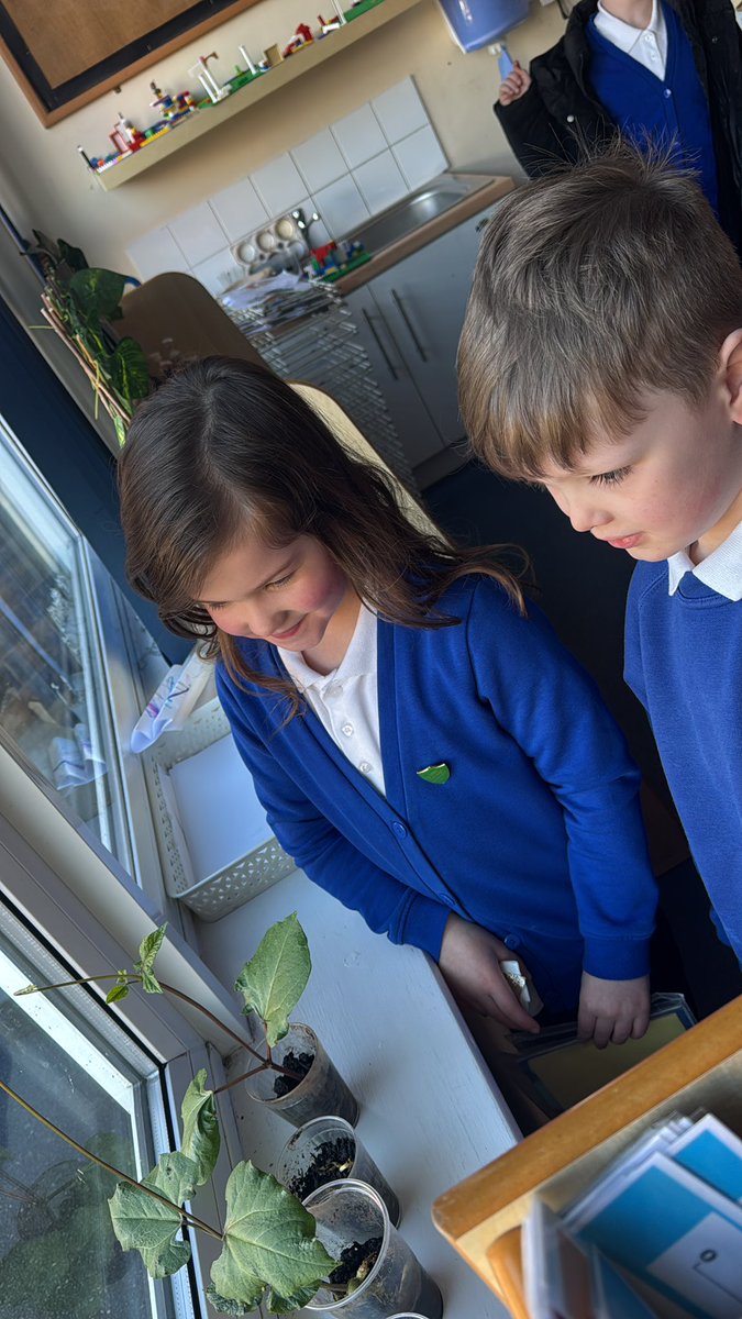 HT_OssettY12 tweet media