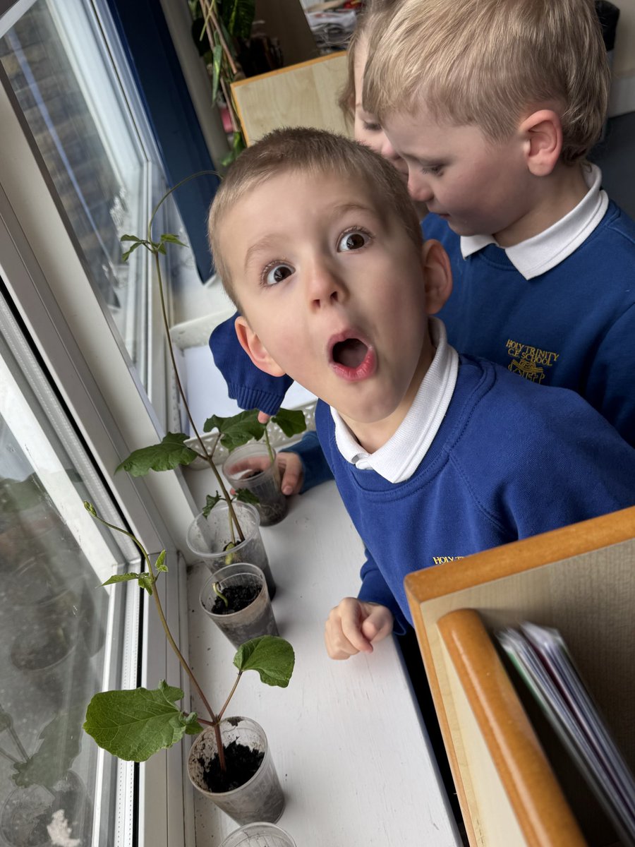 HT_OssettY12 tweet media