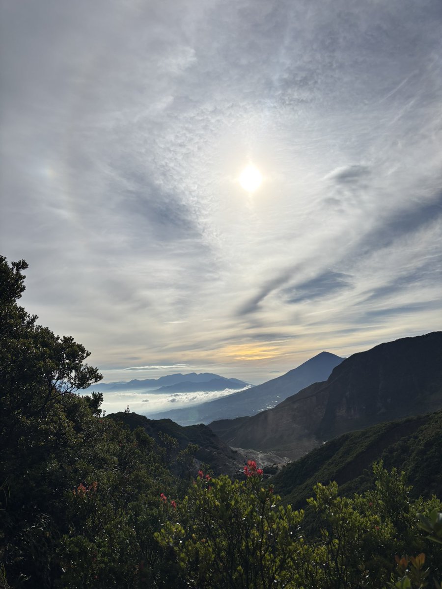 sxdinour tweet media