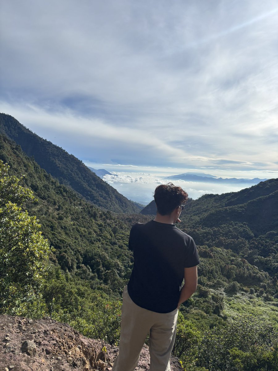 sxdinour tweet media