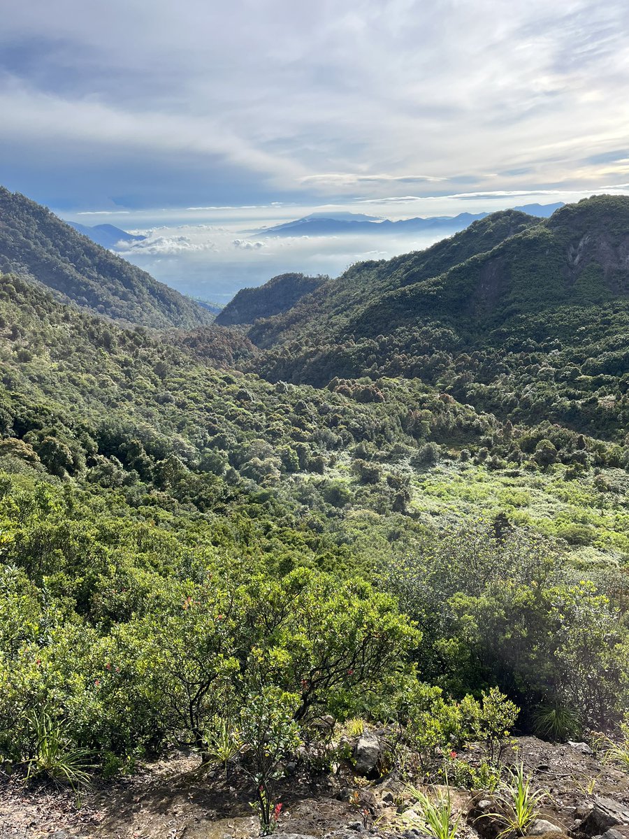 sxdinour tweet media