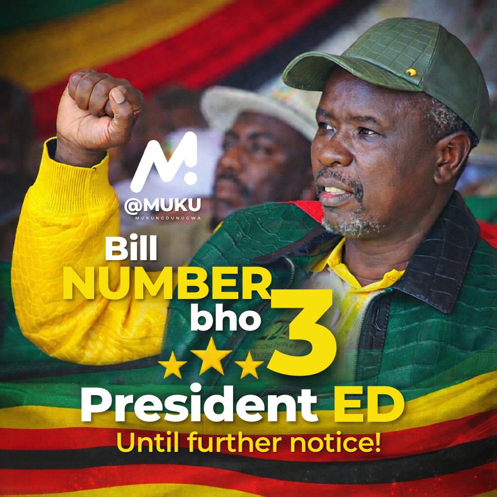 C. H. MUKUNGUNUGWA tweet media