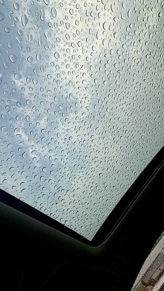 الناعبية tweet media