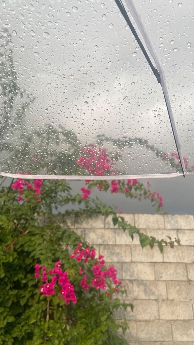 الناعبية tweet media