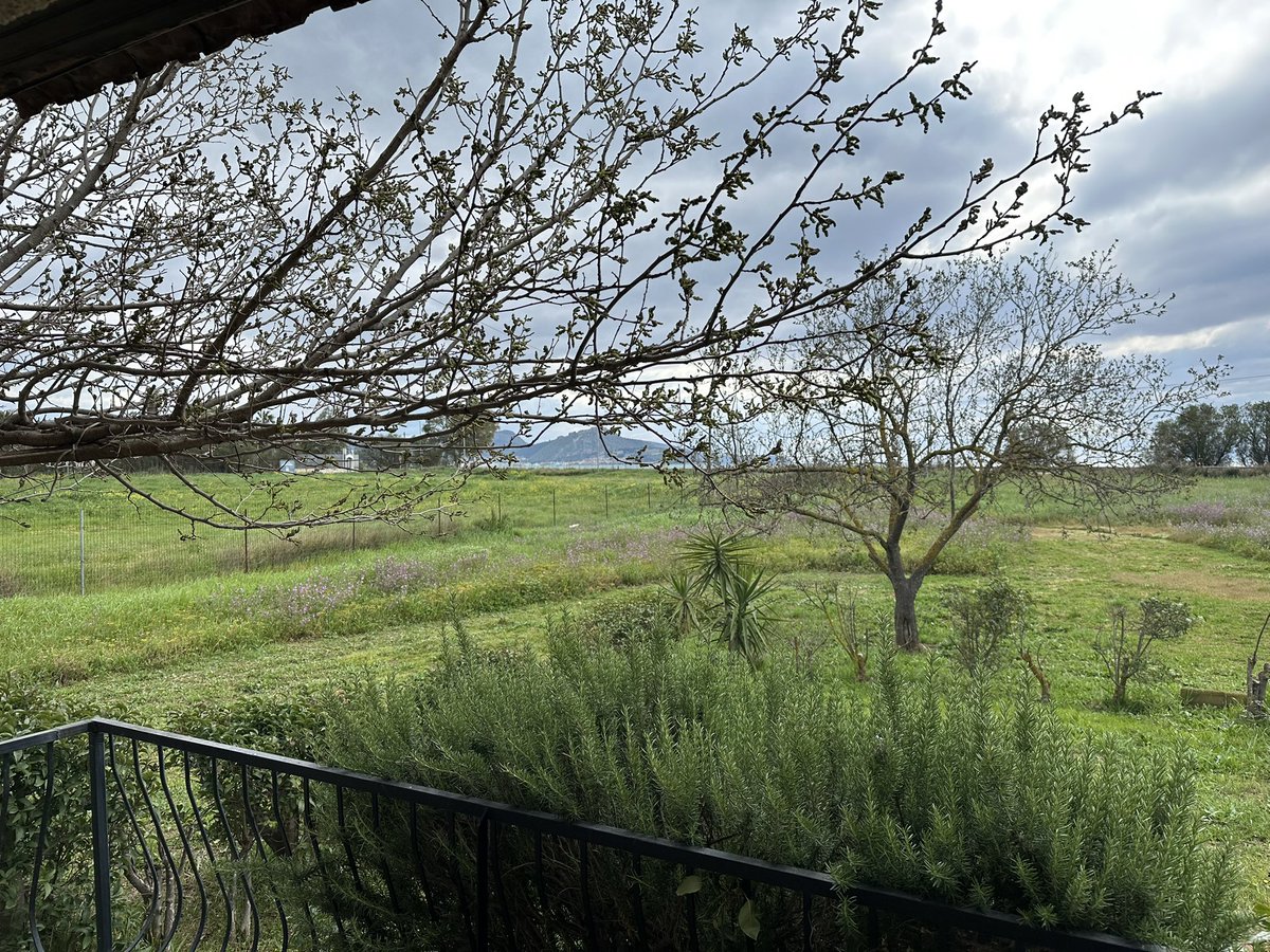 orestis_113's tweet image. #tweet ❤️