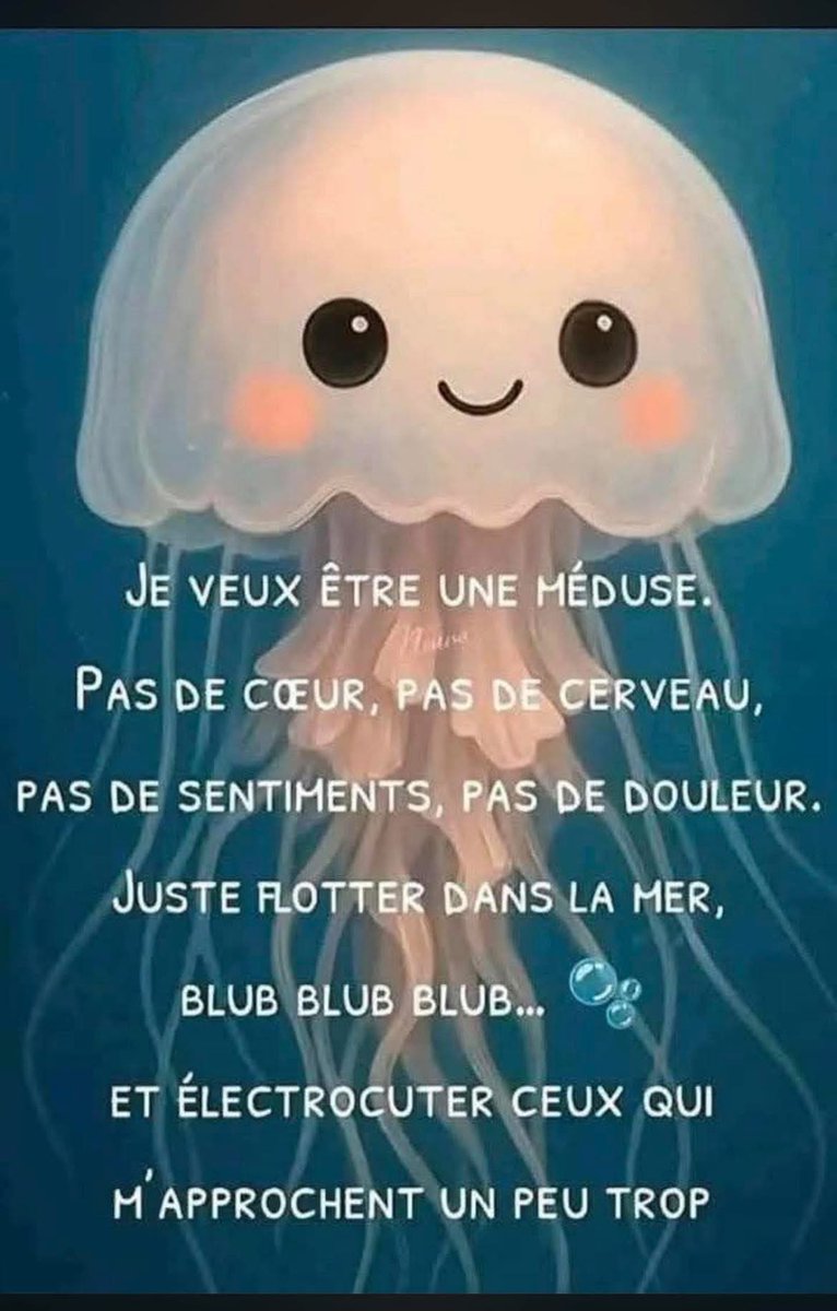 LolitA🌸🦋 tweet media