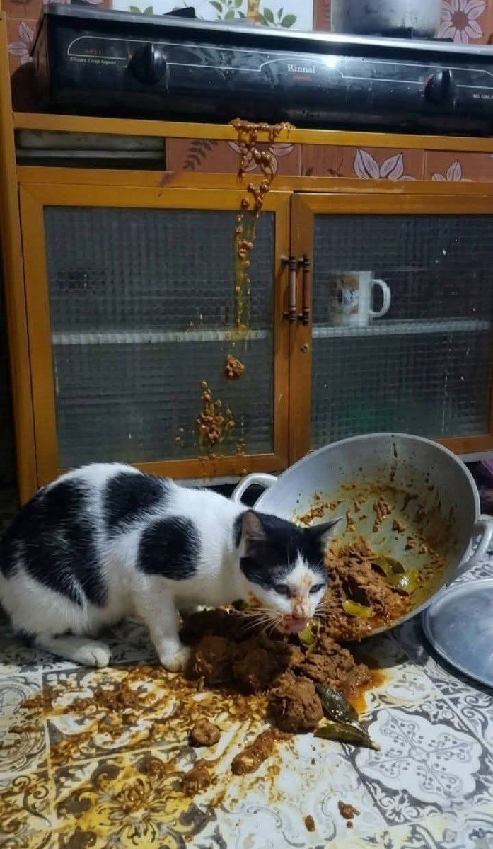 kata nami バッタ tweet media