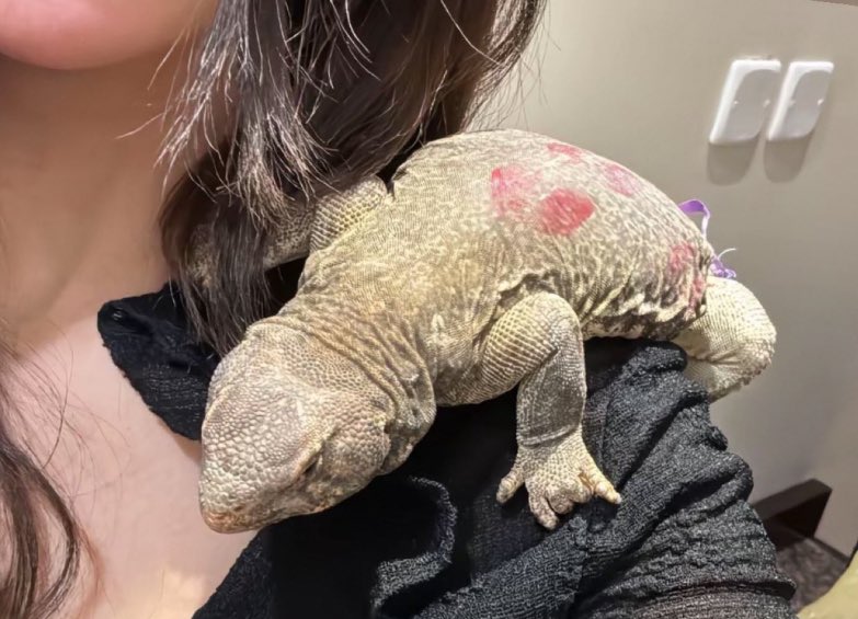 سـ العتيبي ـهم 🏹 tweet media