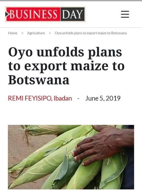 Omo Ìyá Semilore tweet media