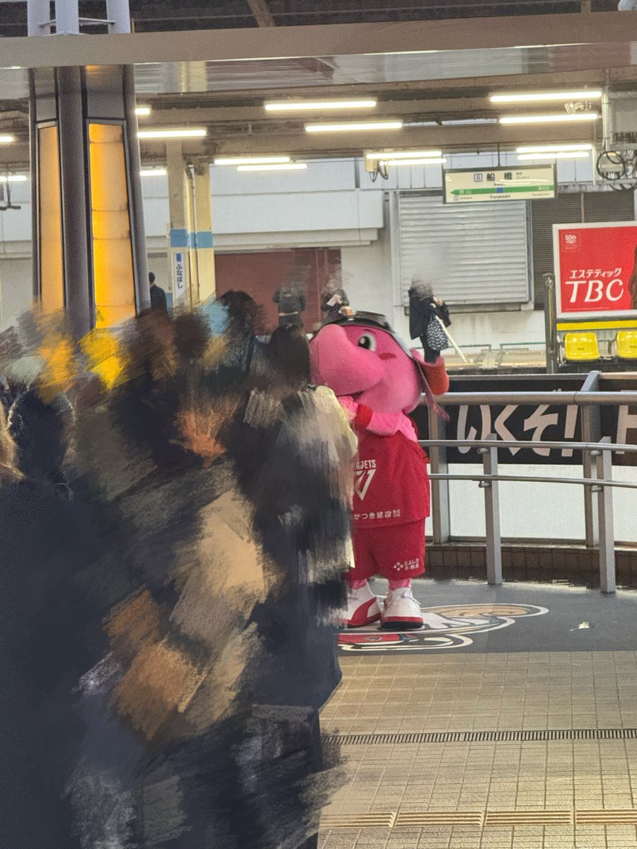 今日も今日とてジャンボはすーぱーかわいかった🐘💓