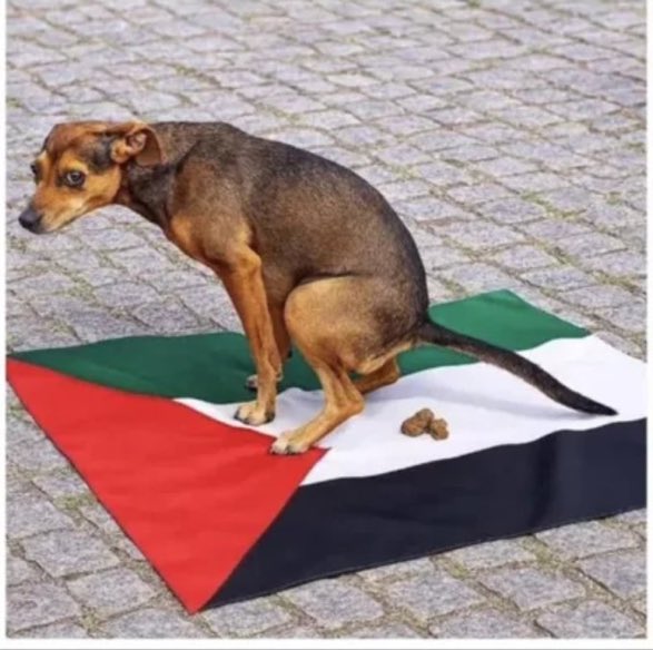 Liza Rosen tweet media