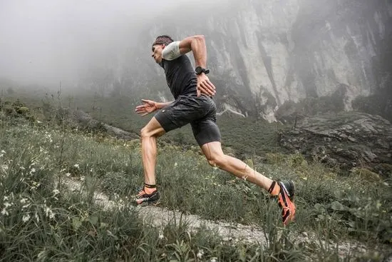 LA Muscle tweet media