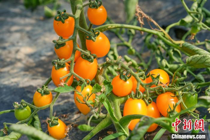 ♥ Eva ♥ tweet media