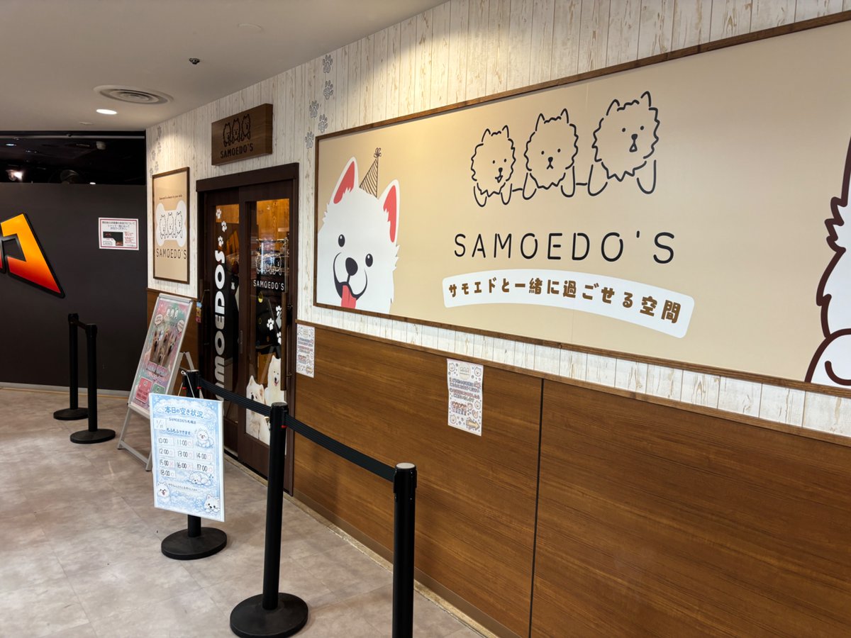 それでも君を囲いたい tweet media