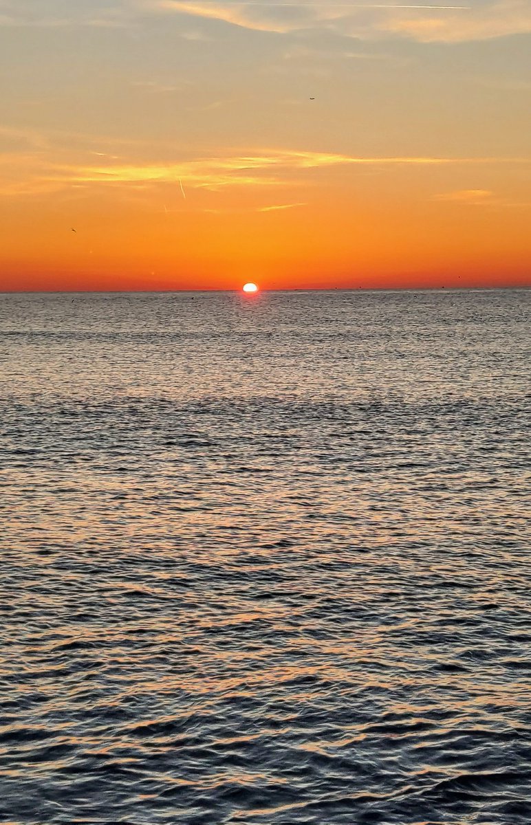 Núria HG #Ingovernable #rebel 💜 tweet media