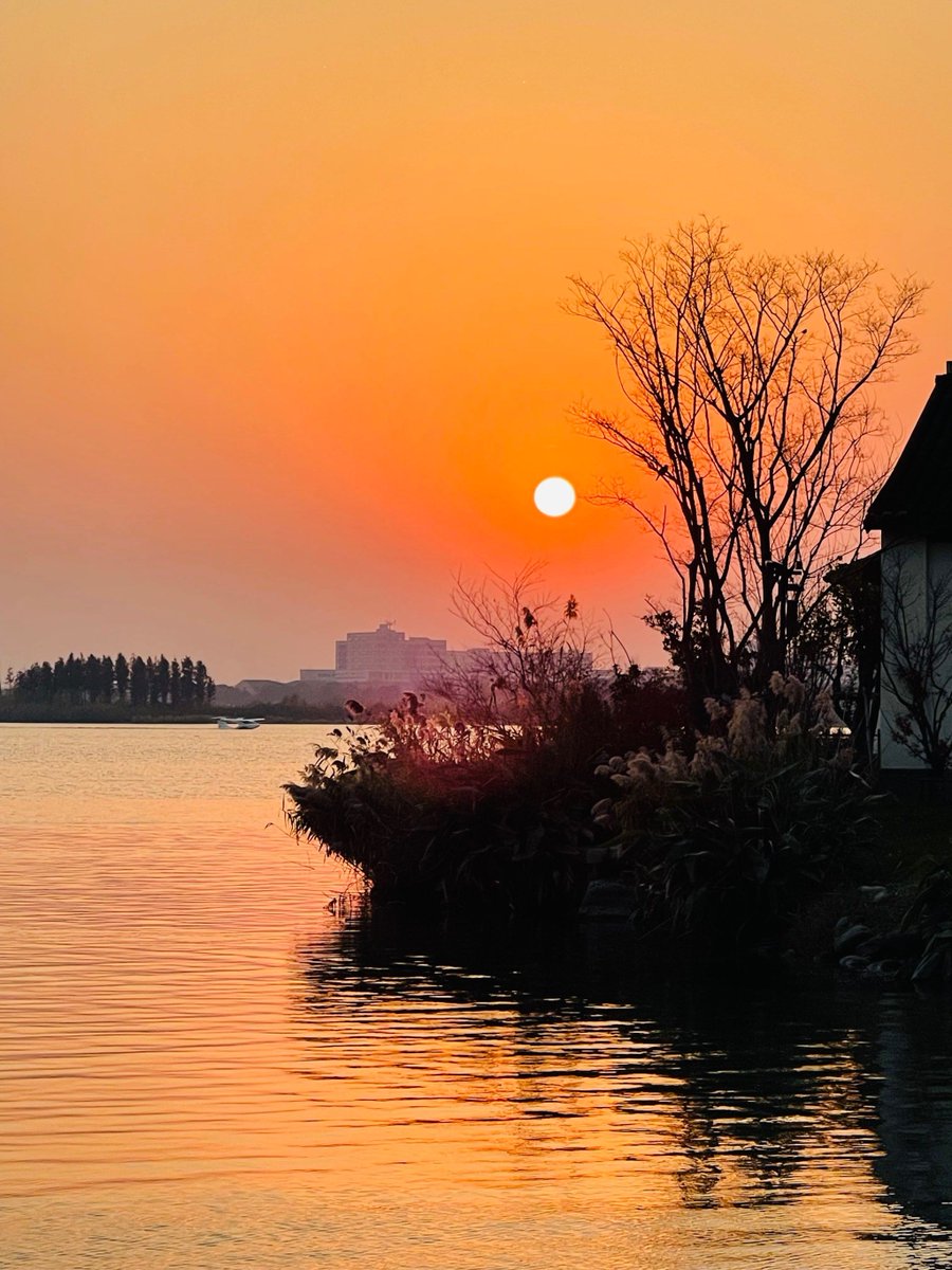 Sonitus Nwachukwu tweet media