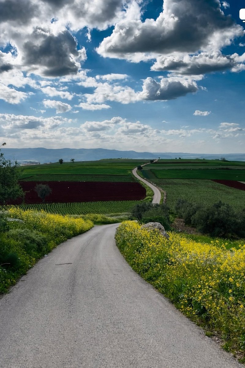 Saudi Magazine tweet media