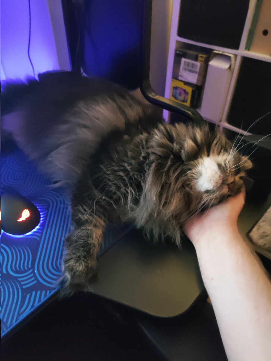 Alexraptor tweet media