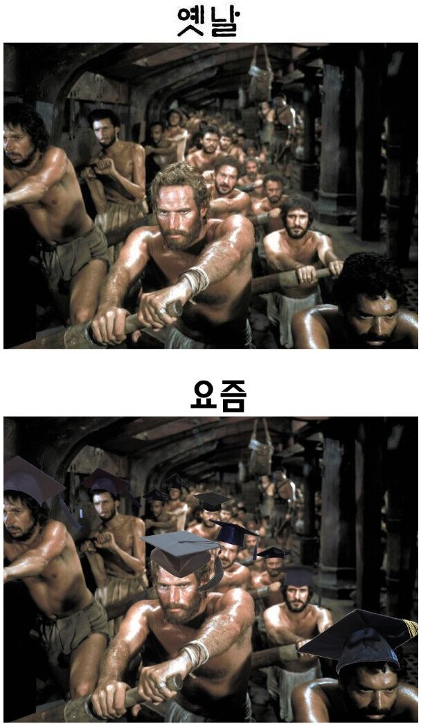 MC호랭이 tweet media