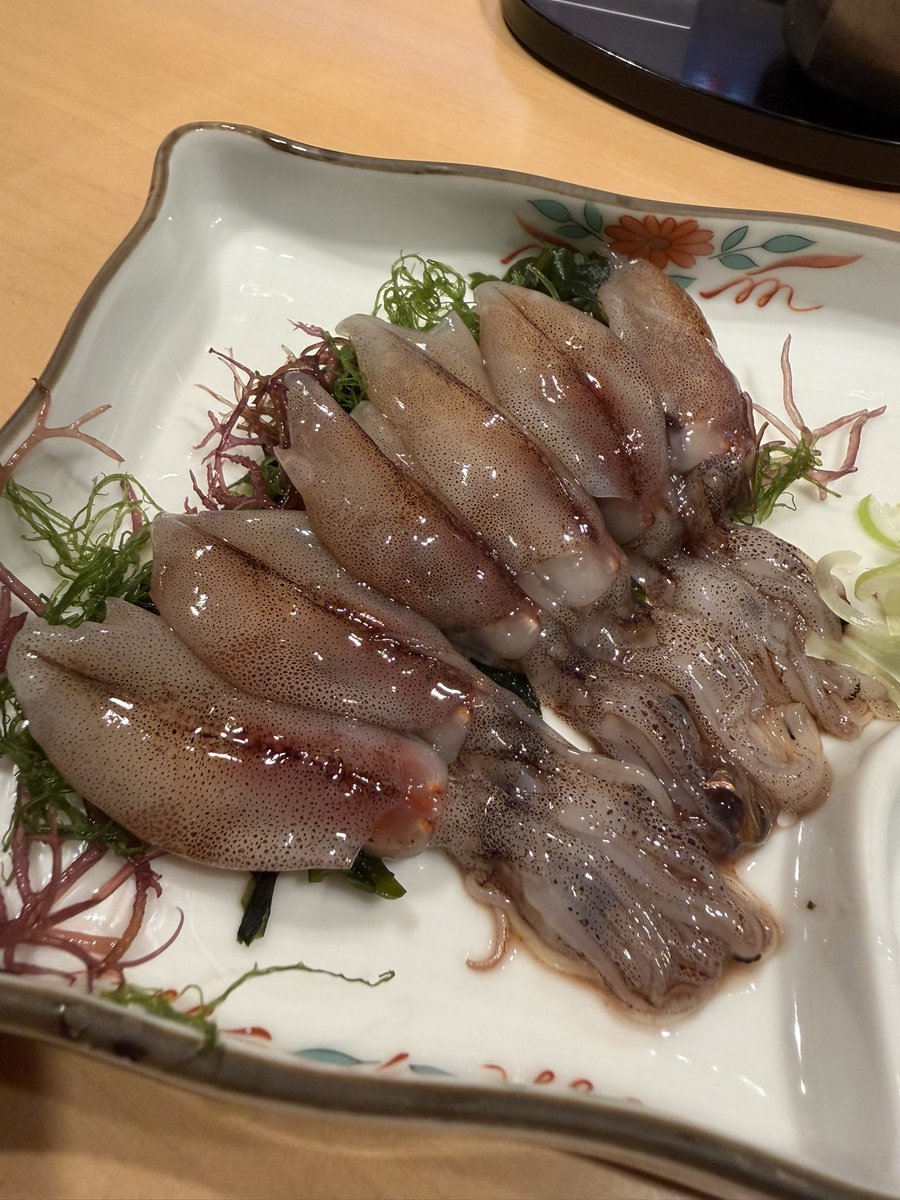 柴田祐太 tweet media