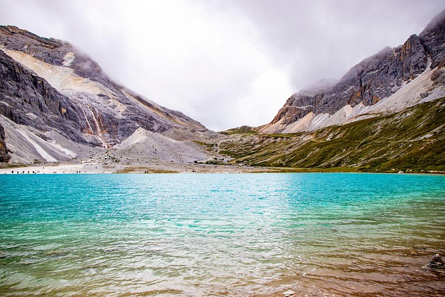 Tyler Shelton tweet media